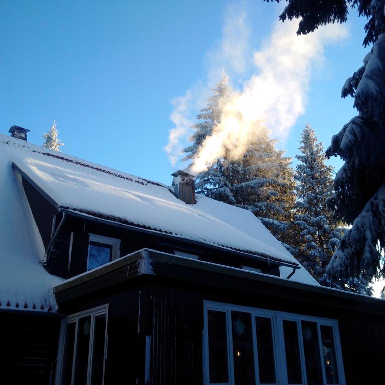The Cabin - Harz National Park Hotel Sankt Andreasberg Luaran gambar