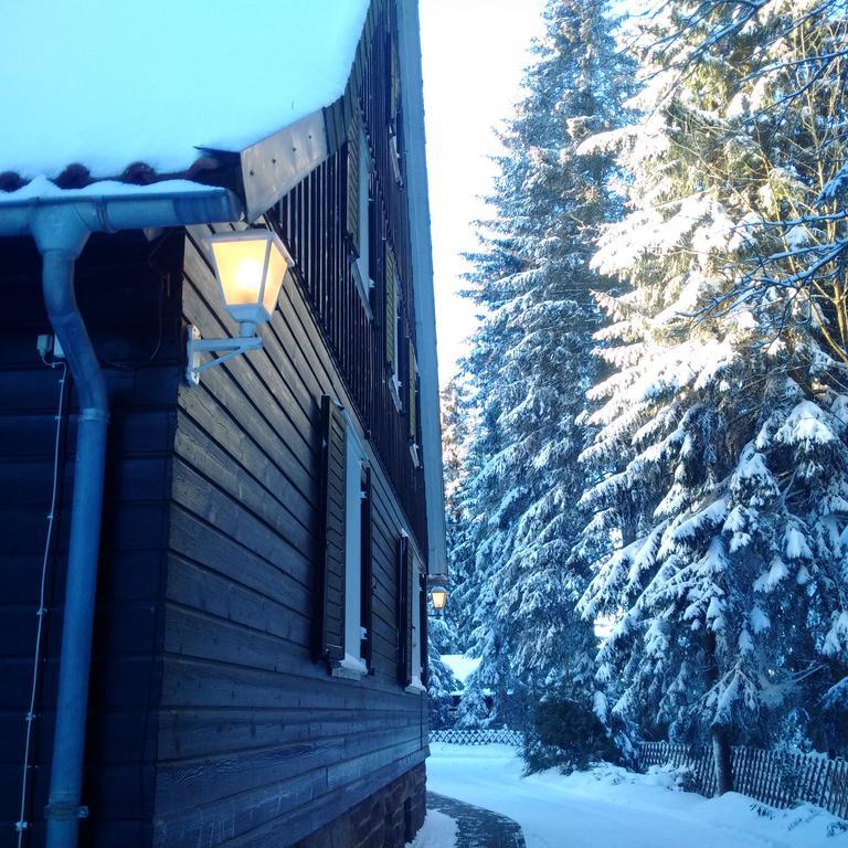 The Cabin - Harz National Park Hotel Sankt Andreasberg Luaran gambar